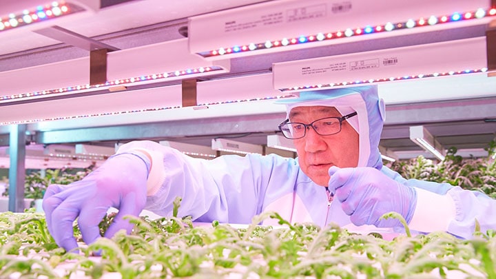 Philips Lighting - City farming