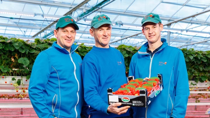 Philips growing lights