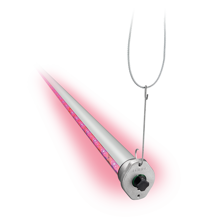 Philips GreenPower LED interlighting module
