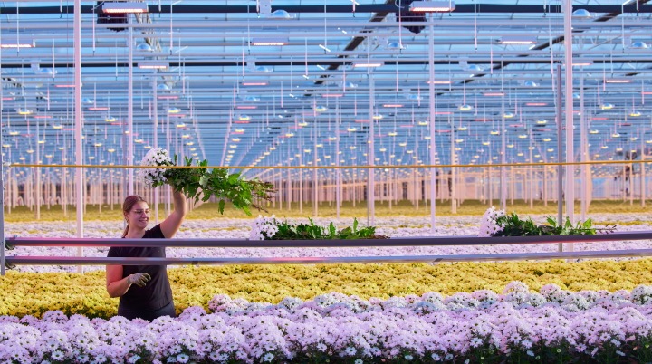 Clever design choices with Philips  LED toplighting force