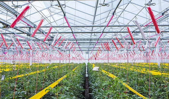 Switching to LED means more than just switching on the light