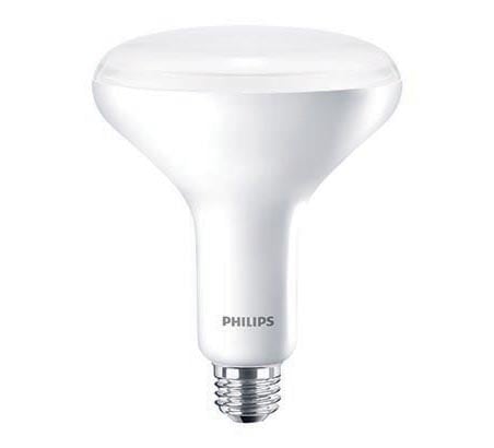 Philips GreenPower LED flowering lamps are effective grow lights for strawberries