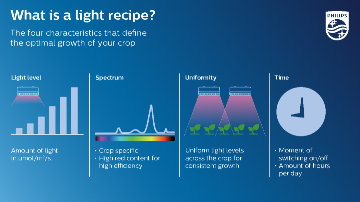 What is a light recipe?