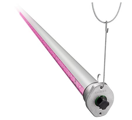 Philips GreenPower LED interlighting are efficient vegetable grow lights