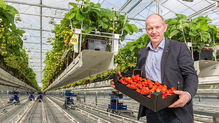 Brookberries Testimonal