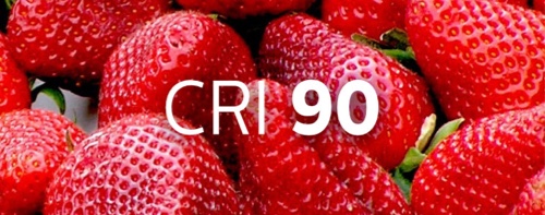 Un bol de fraises montrant le rendu des couleurs en fonction d'un éclairage à IRC de 90