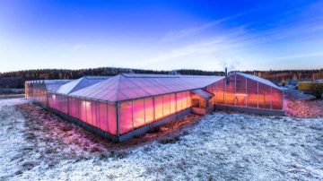 Canadian fine grow lights discount