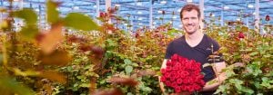 Produisez des roses extraordinaires avec des lampes de croissance à LED