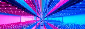 Recette lumineuse Philips