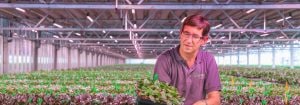 Respectueux de l'environnement et des orchidées
