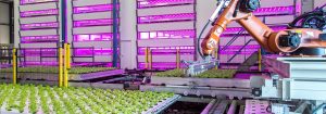 Un environnement entièrement contrôlable