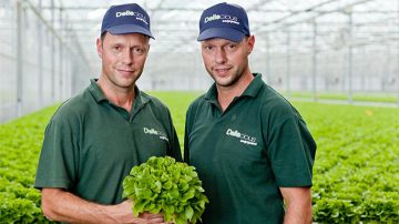 Roy et Mark Delissen sont les propriétaires de Deliscious, une entreprise de culture de laitue qui a recours à l’éclairage horticole Philips