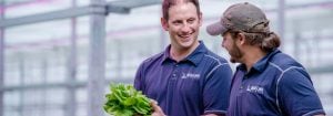 Un producteur de laitues passe à l'éclairage supérieur entièrement LED Philips 