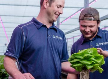 Prendre le devant de la scène avec la technologie d'éclairage LED pour l'horticulture