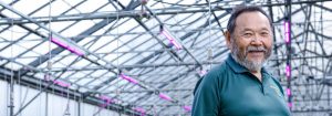 Ouvrir la voie avec l'éclairage LED