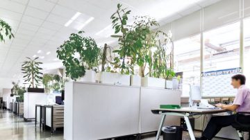 Bureaux en open space de Bosch, en Allemagne, éclairés par Signify