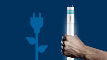 fleur en forme de prise électrique à côté d'une main tenant un tube LED