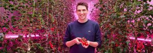 Creating a recipe for growth  for indoor farming